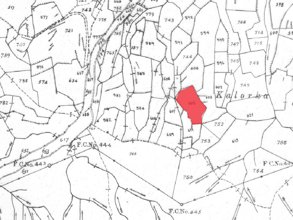 Field-Mitsero-PR37593