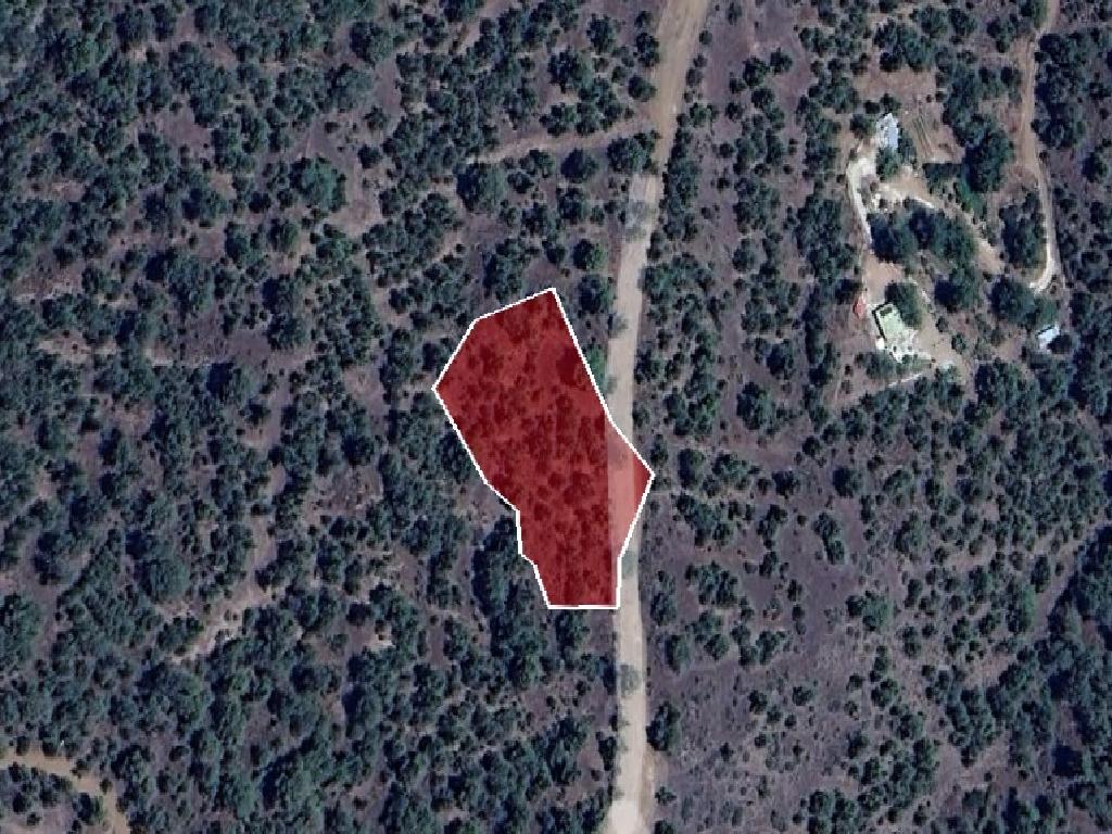 Field-Mitsero-PR37593