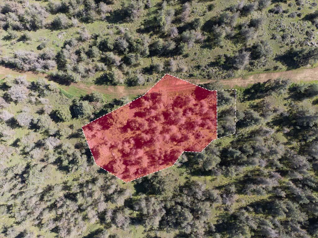 Field-Mitsero-PR37593
