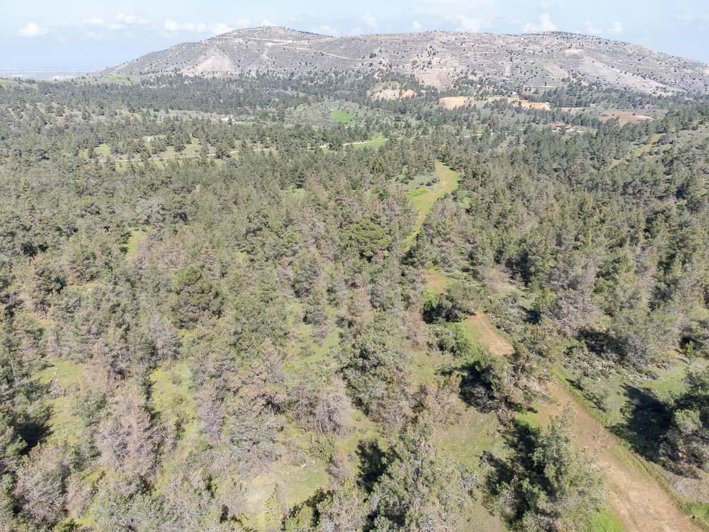 Field-Mitsero-PR37593