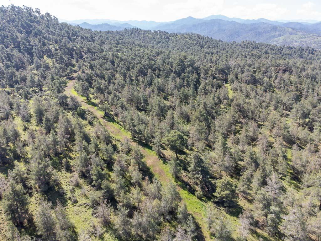 Field-Mitsero-PR37593