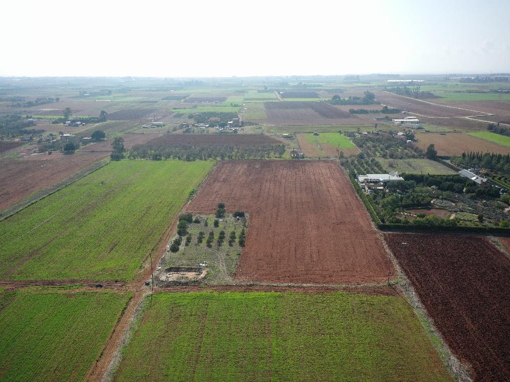 Field-Avgorou-PR39483