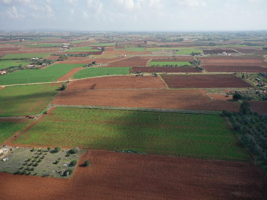 Field-Avgorou-PR39483
