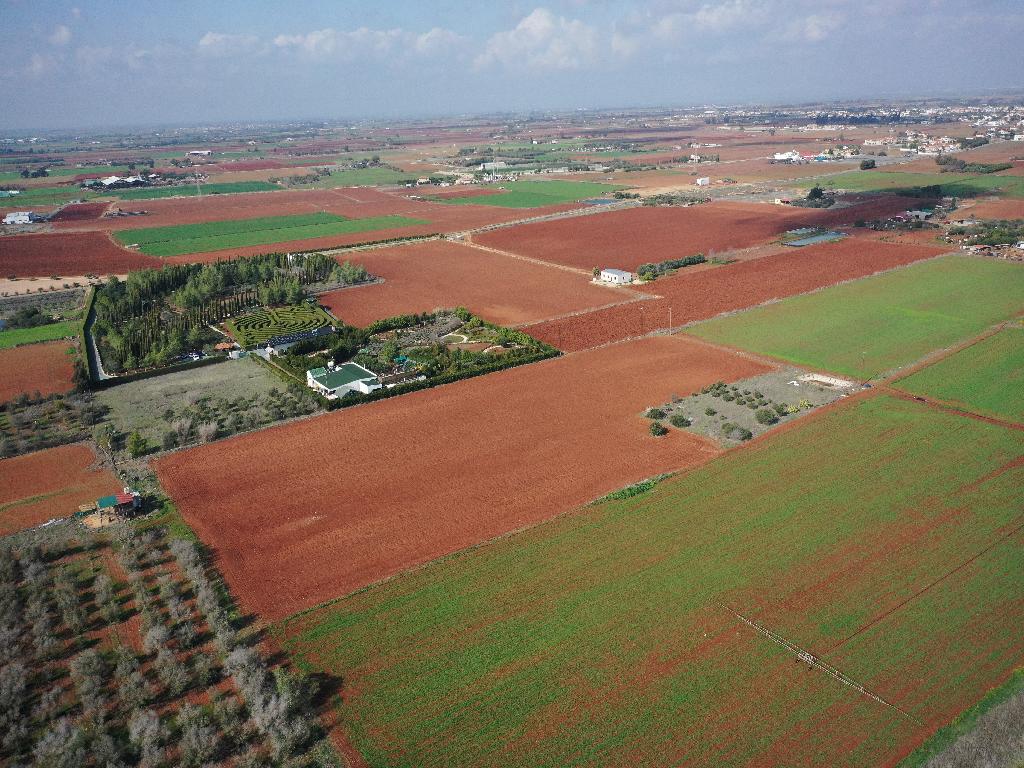 Field-Avgorou-PR39483