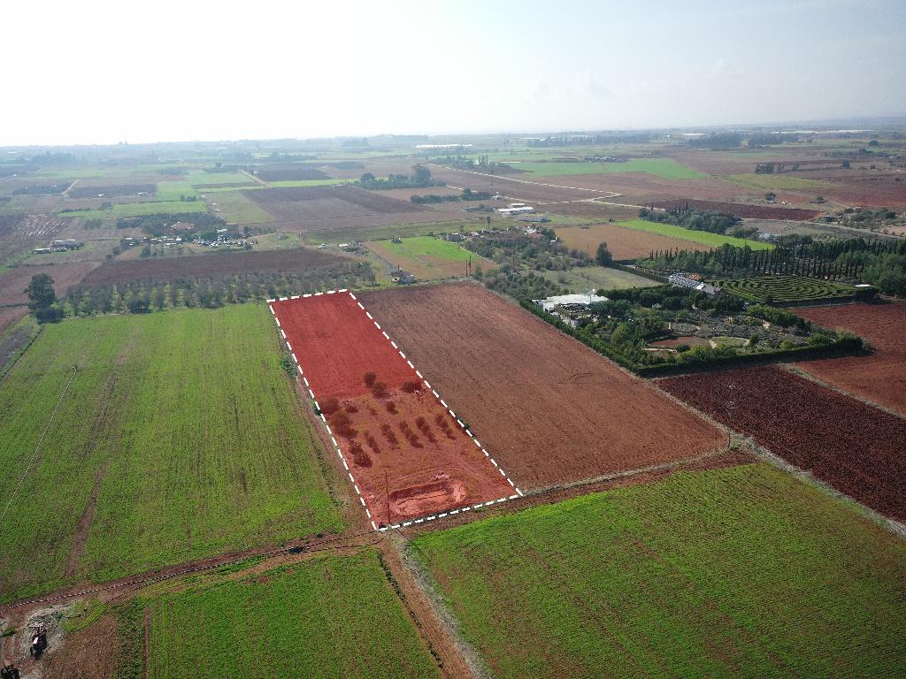 Field-Avgorou-PR39483