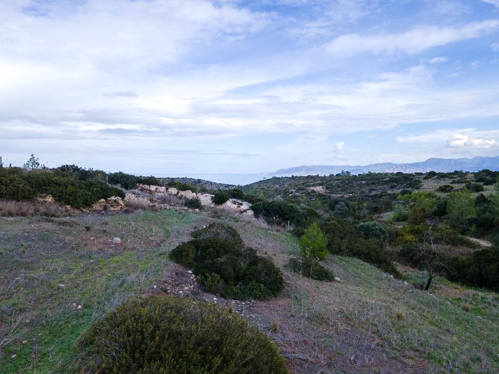 Field-New Chorio-PR39772