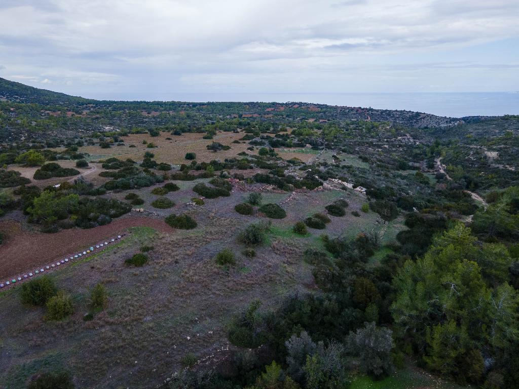 Field - Neo Chorio, Paphos