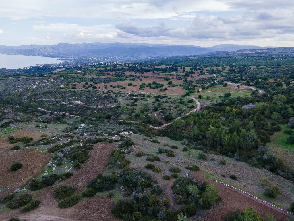 Field - Neo Chorio, Paphos