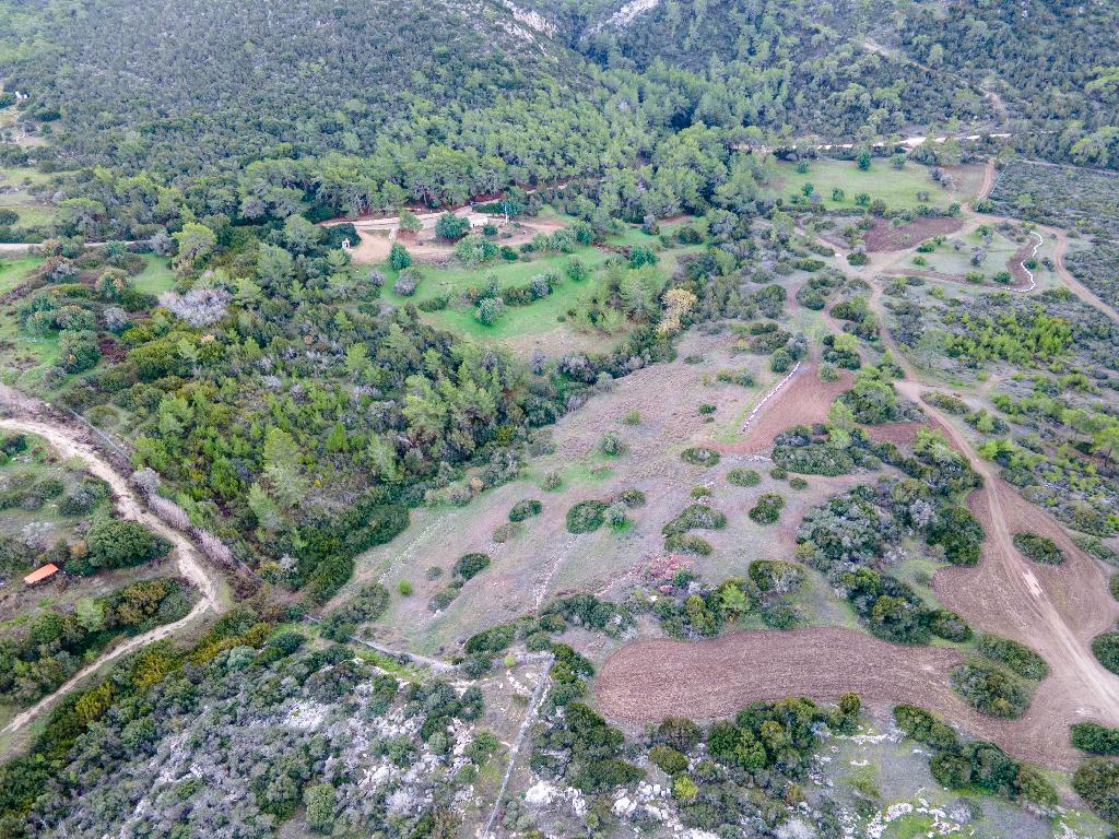 Field - Neo Chorio, Paphos