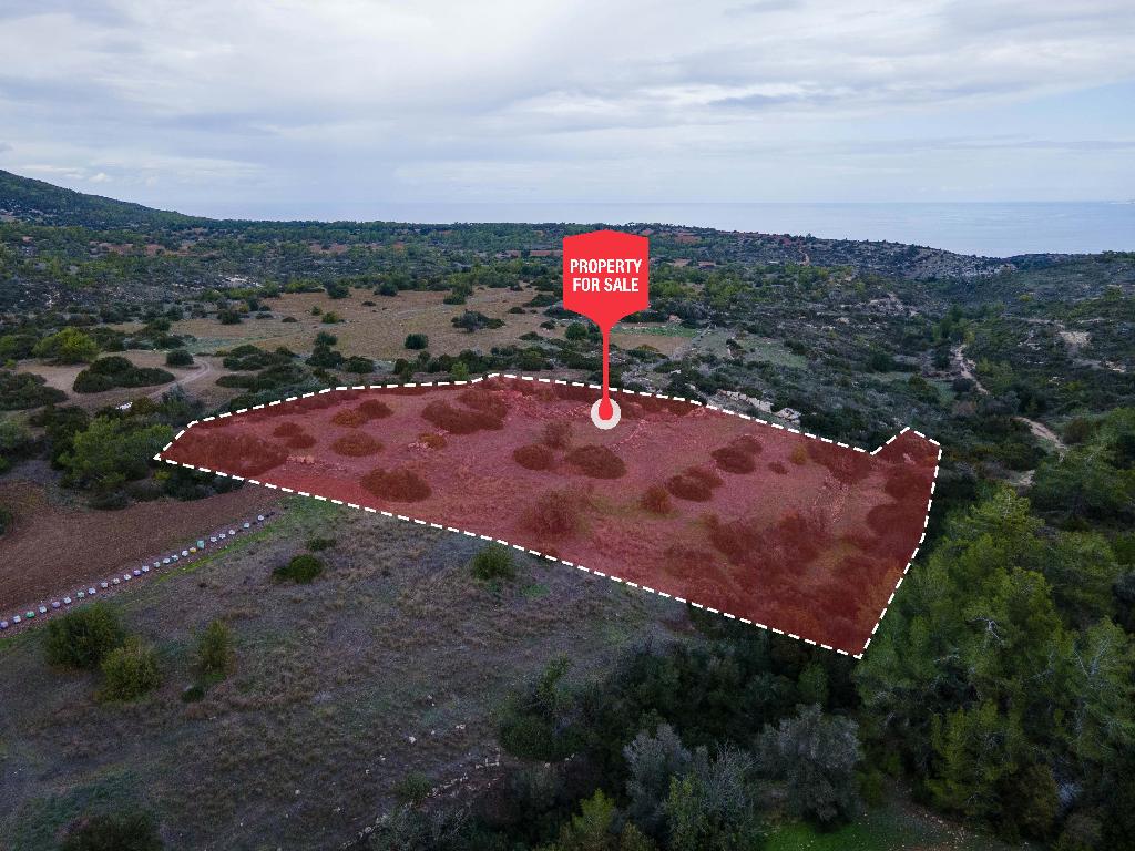 Field-New Chorio-PR39772