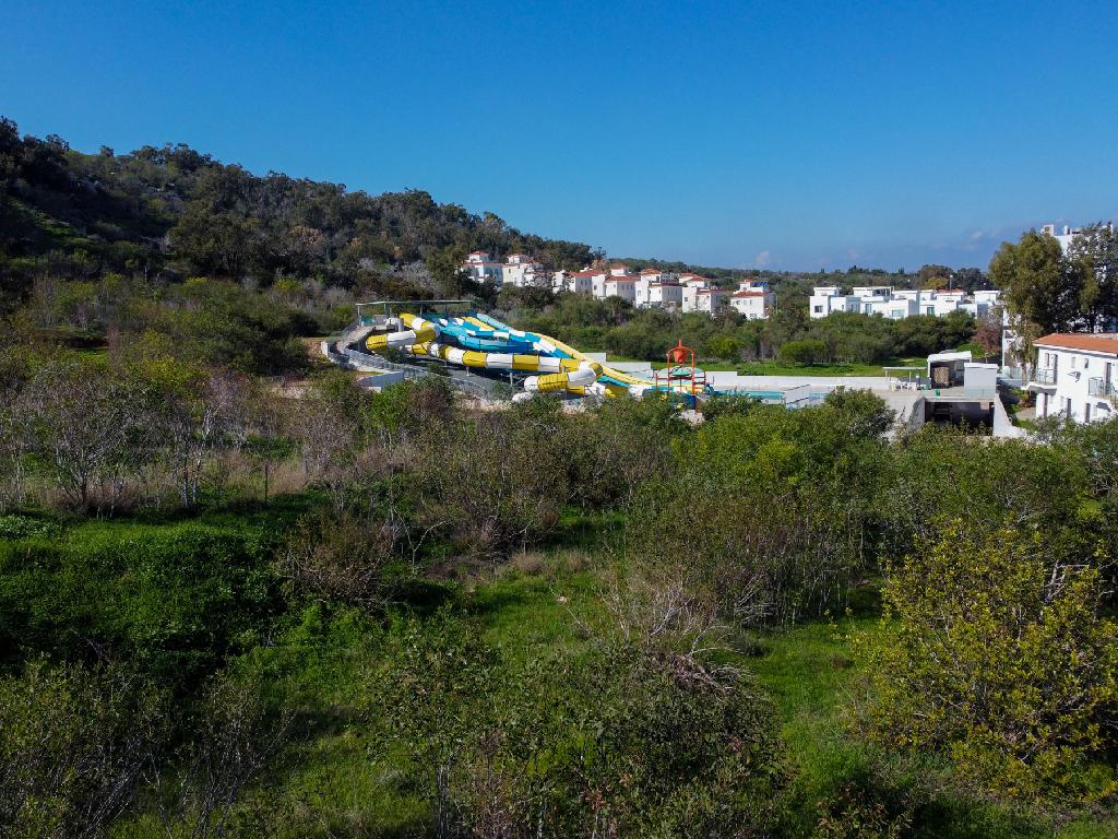 Field-Paralimni-PR41565
