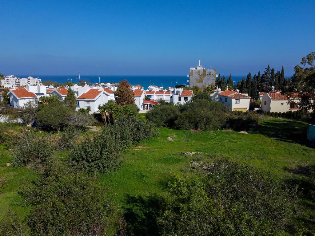 Field-Paralimni-PR41565