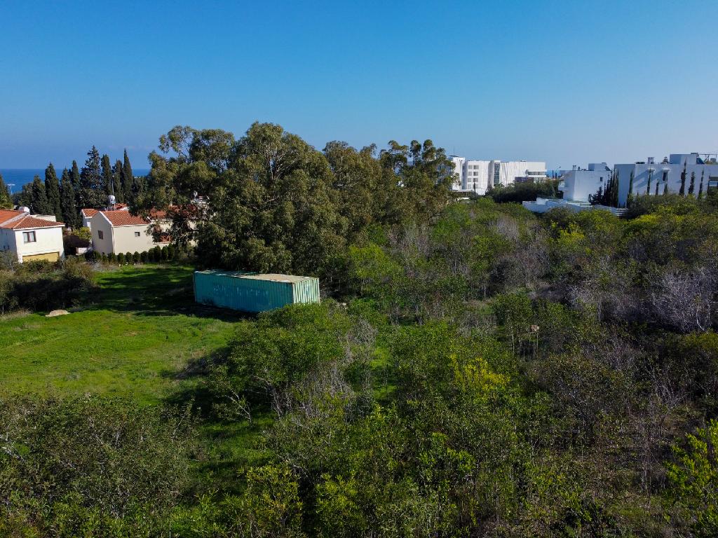 Field-Paralimni-PR41565