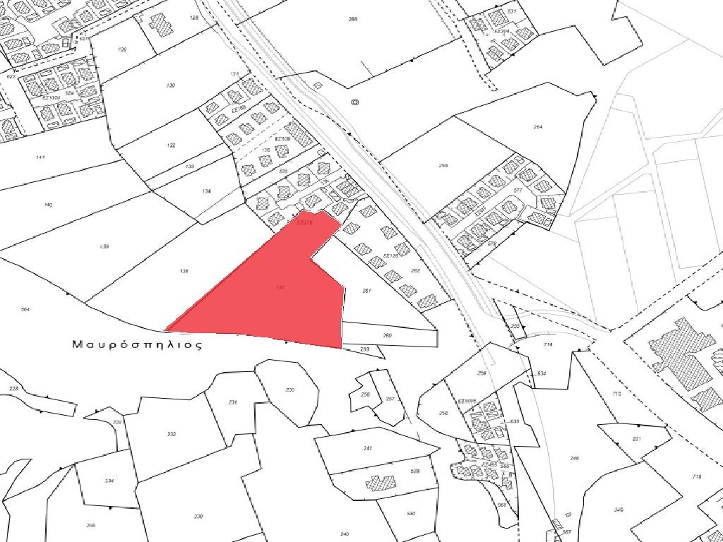 Field-Paralimni-PR41565