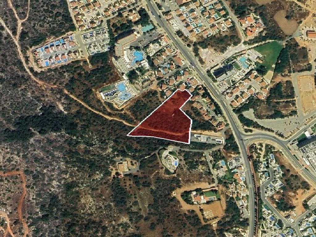 Field-Paralimni-PR41565