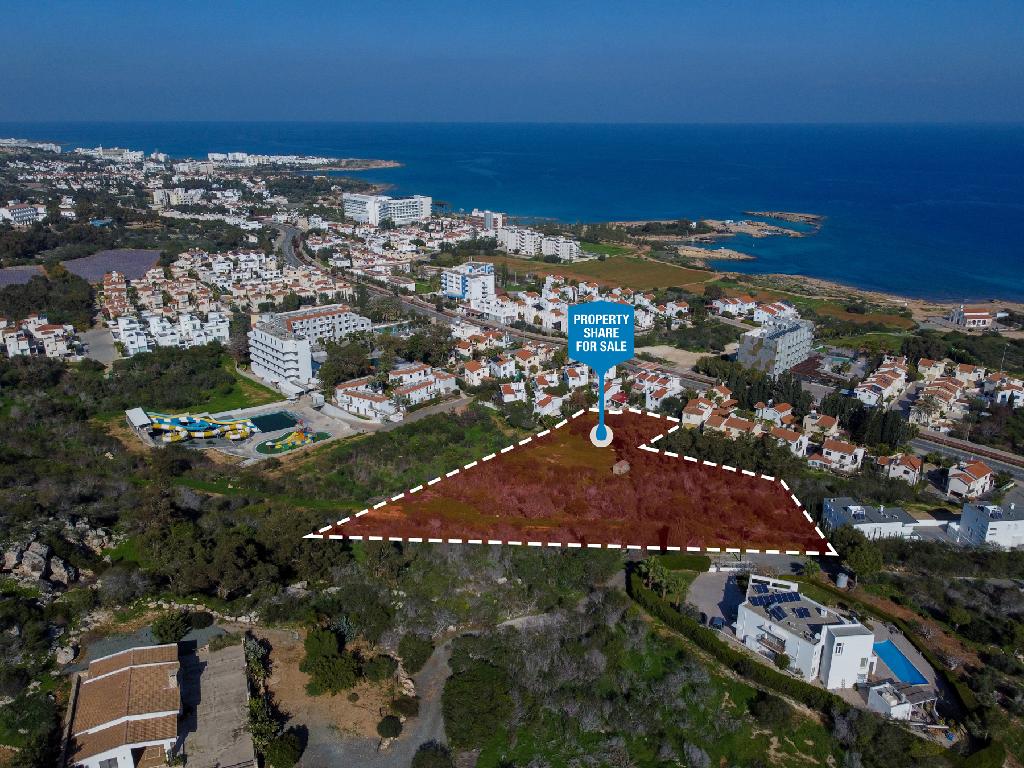 Field-Paralimni-PR41565