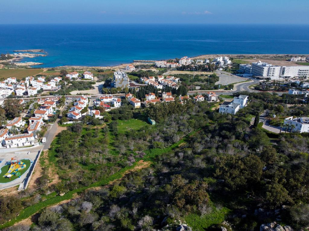 Field-Paralimni-PR41565