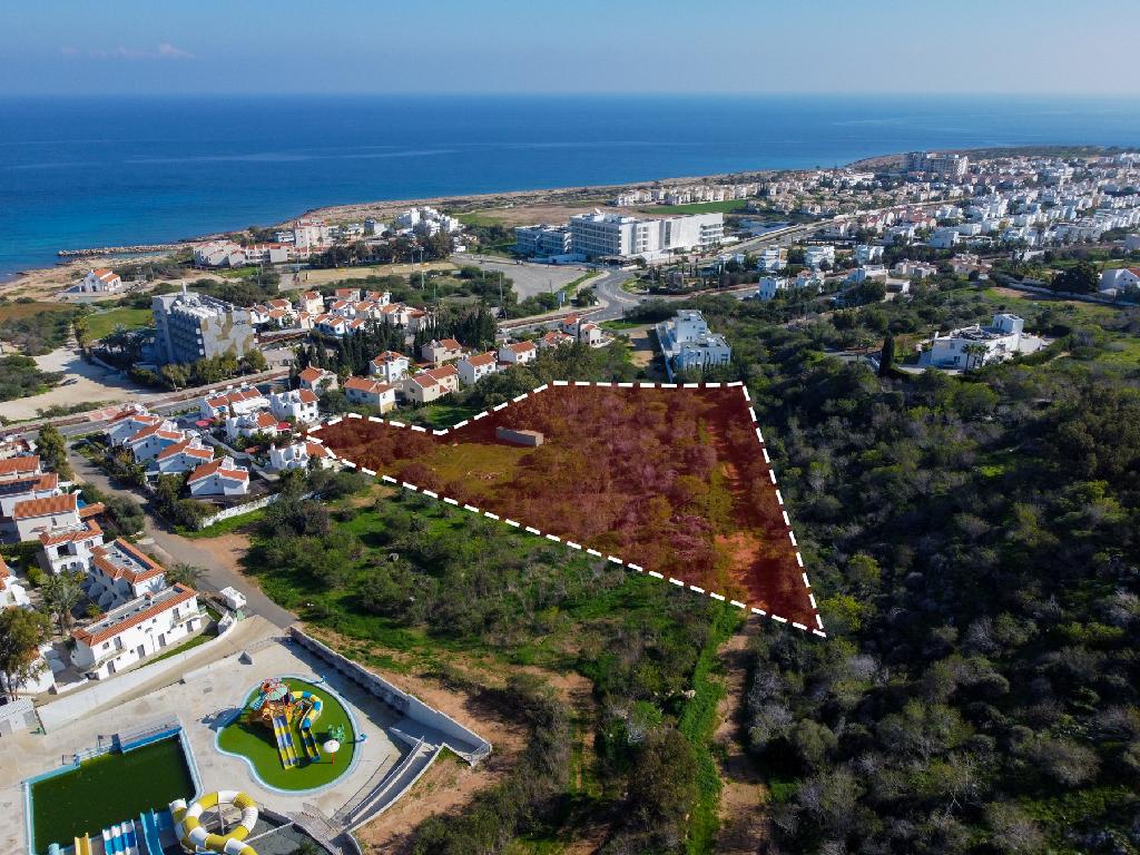 Field-Paralimni-PR41565