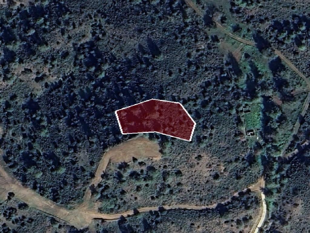 Field - Lythrodonta, Nicosia