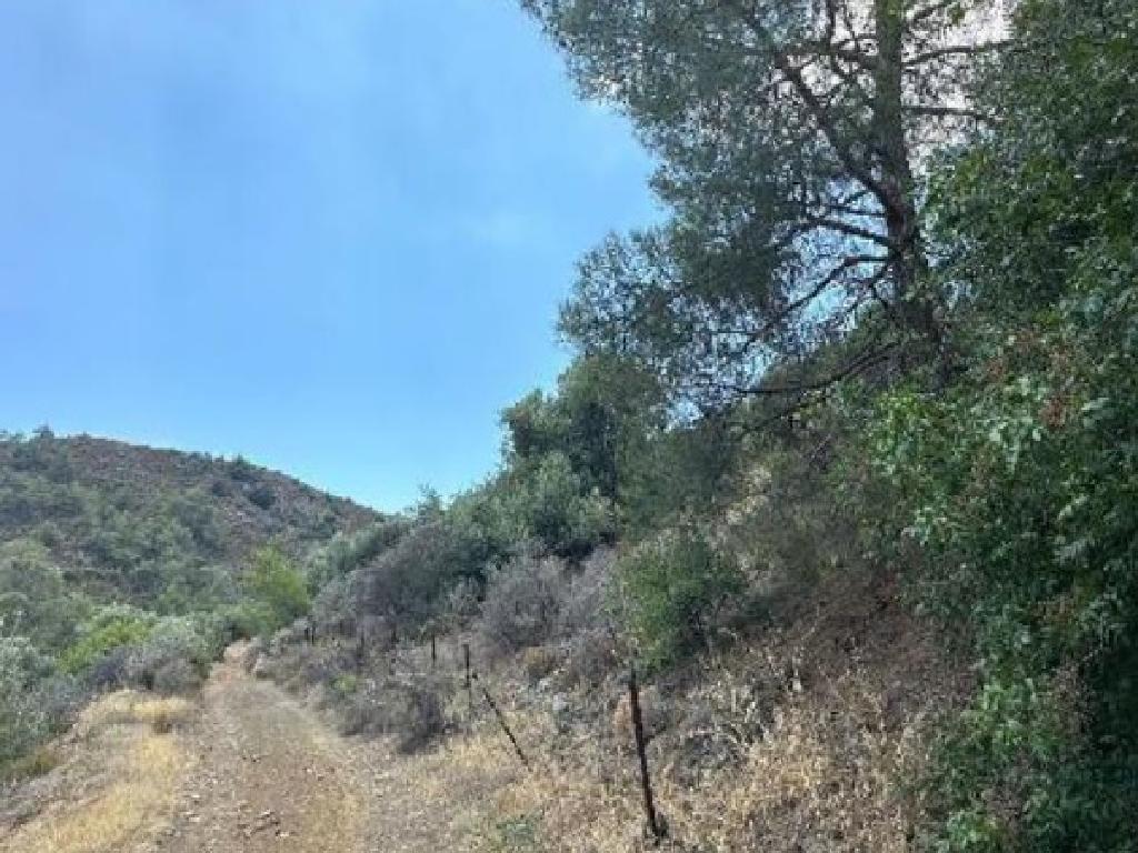 Field - Lythrodonta, Nicosia
