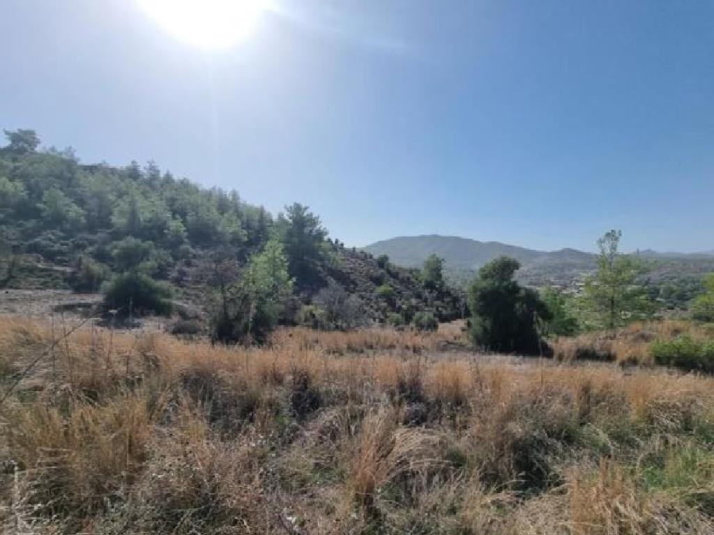 Field - Sia, Nicosia