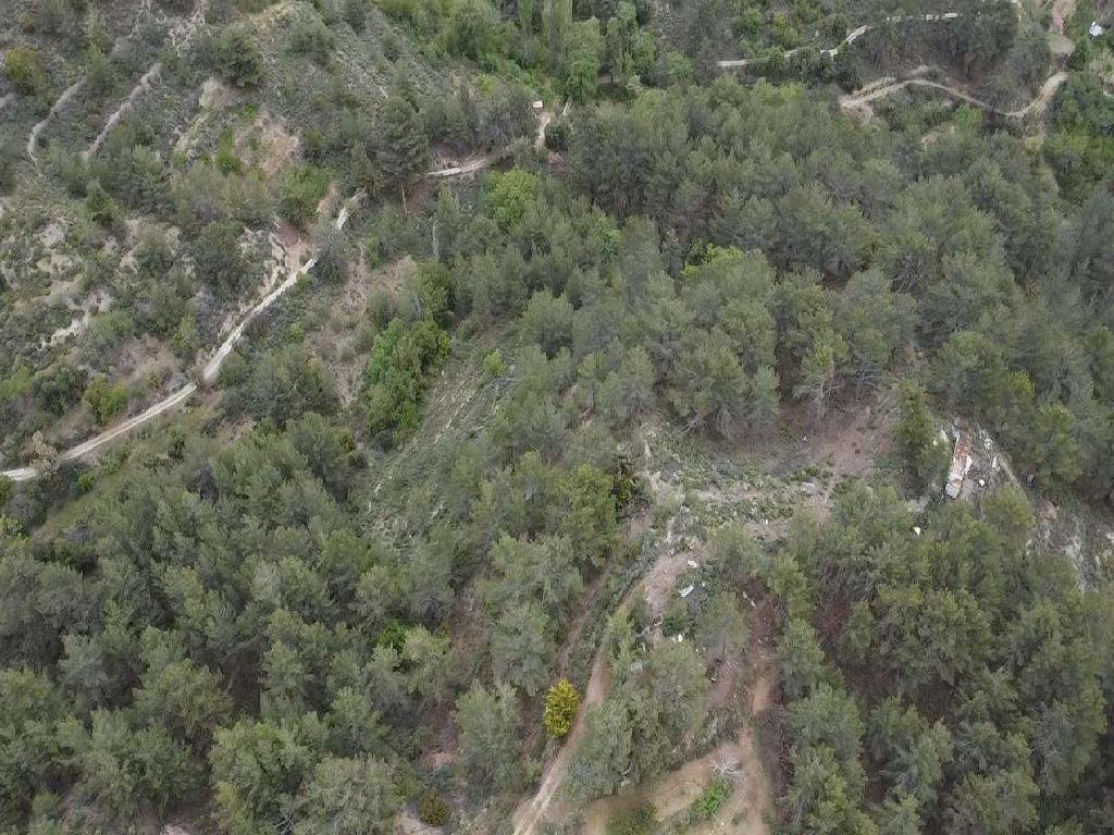 Field-Lemithou-PR42418