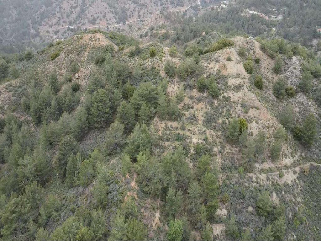 Field-Lemithou-PR42418