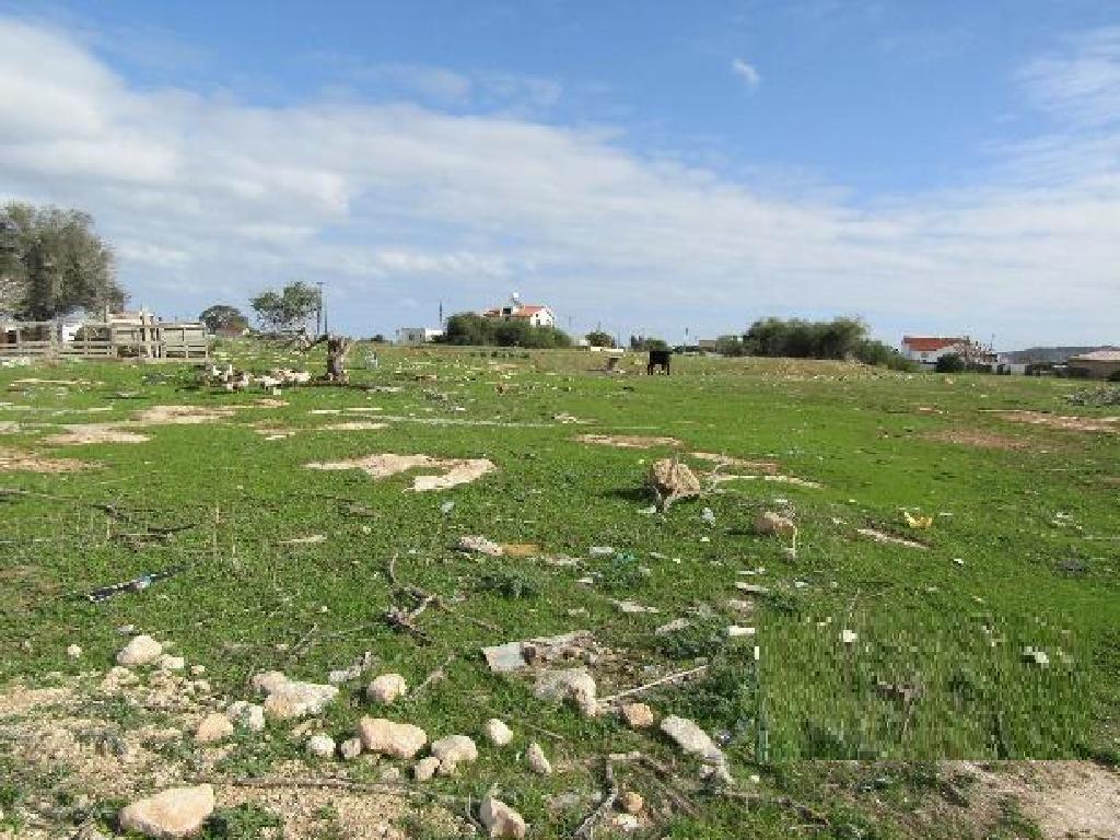Field-Paralimni-PR42643