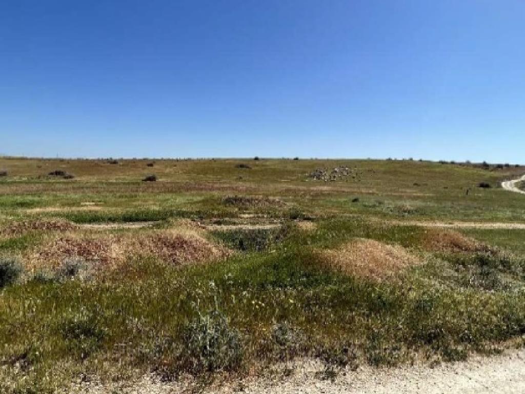 Field-Potami-PR42359