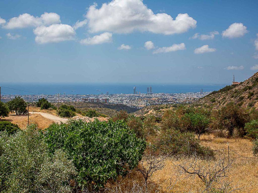 &Mu;&omicron;&nu;&omicron;&kappa;&alpha;&tau;&omicron;&iota;&kappa;ί&alpha;-Ά&gamma;&iota;&omicron;&sigmaf; &Alpha;&theta;&alpha;&nu;ά&sigma;&iota;&omicron;&sigmaf;-PR44964