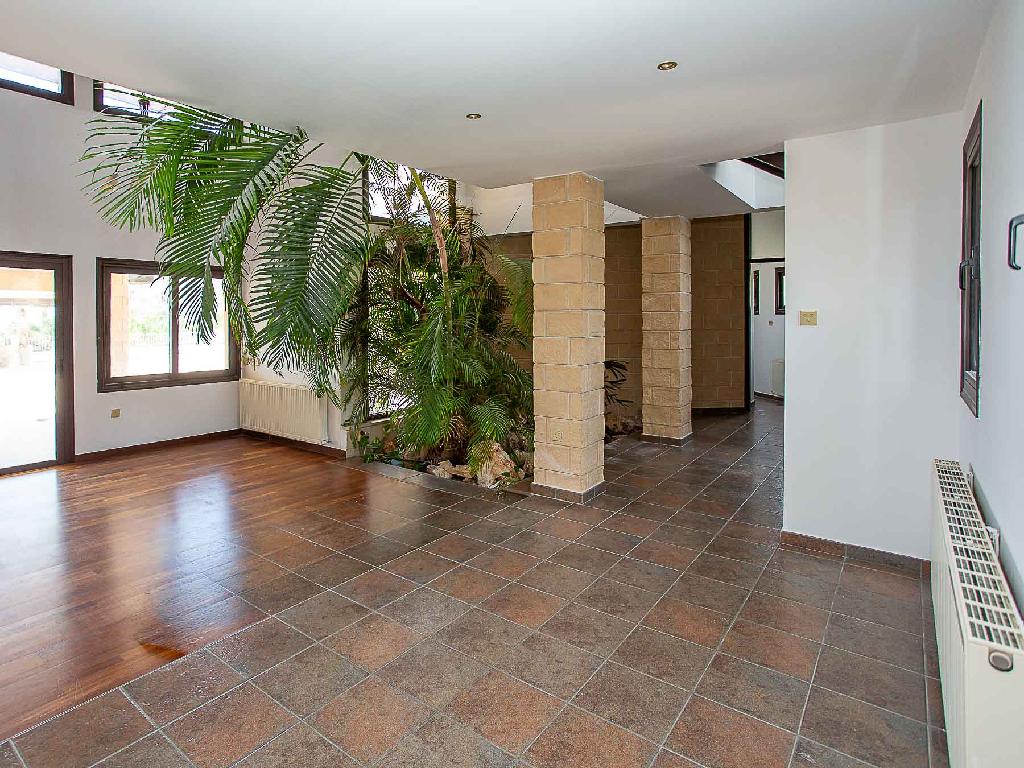 &Mu;&omicron;&nu;&omicron;&kappa;&alpha;&tau;&omicron;&iota;&kappa;ί&alpha;-Ά&gamma;&iota;&omicron;&sigmaf; &Alpha;&theta;&alpha;&nu;ά&sigma;&iota;&omicron;&sigmaf;-PR44964