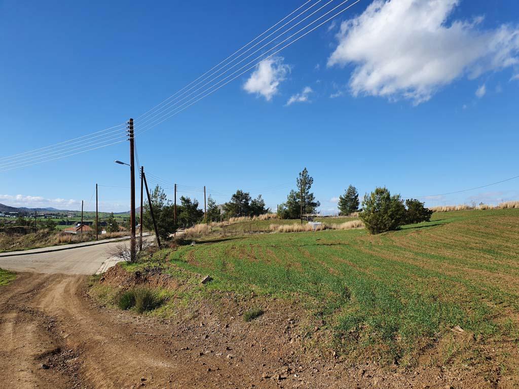 Field - Klirou, Nicosia