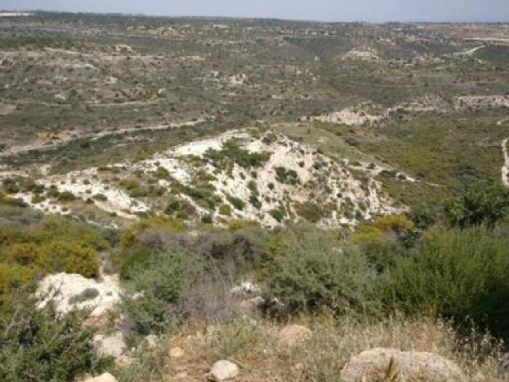 Field-Sotira-PR14464