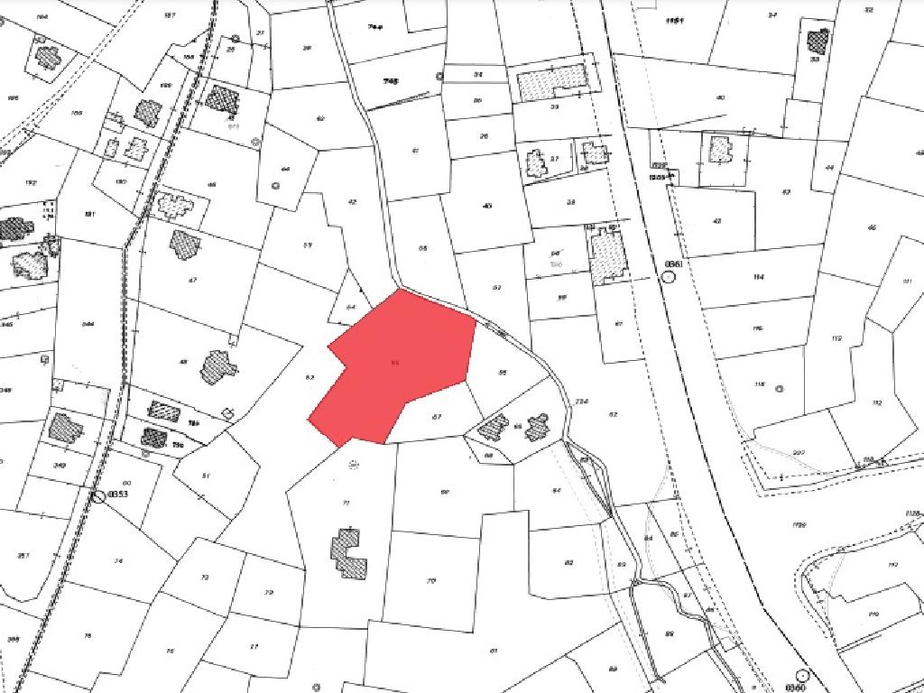 Field-Paralimni-PR12110