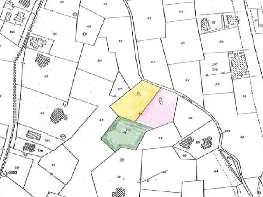 Field-Paralimni-PR12110