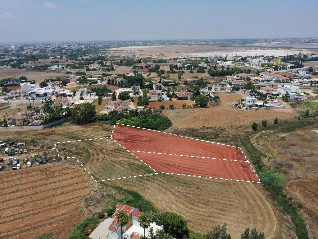Field-Paralimni-PR12110