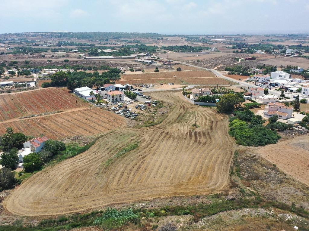 Field-Paralimni-PR12110