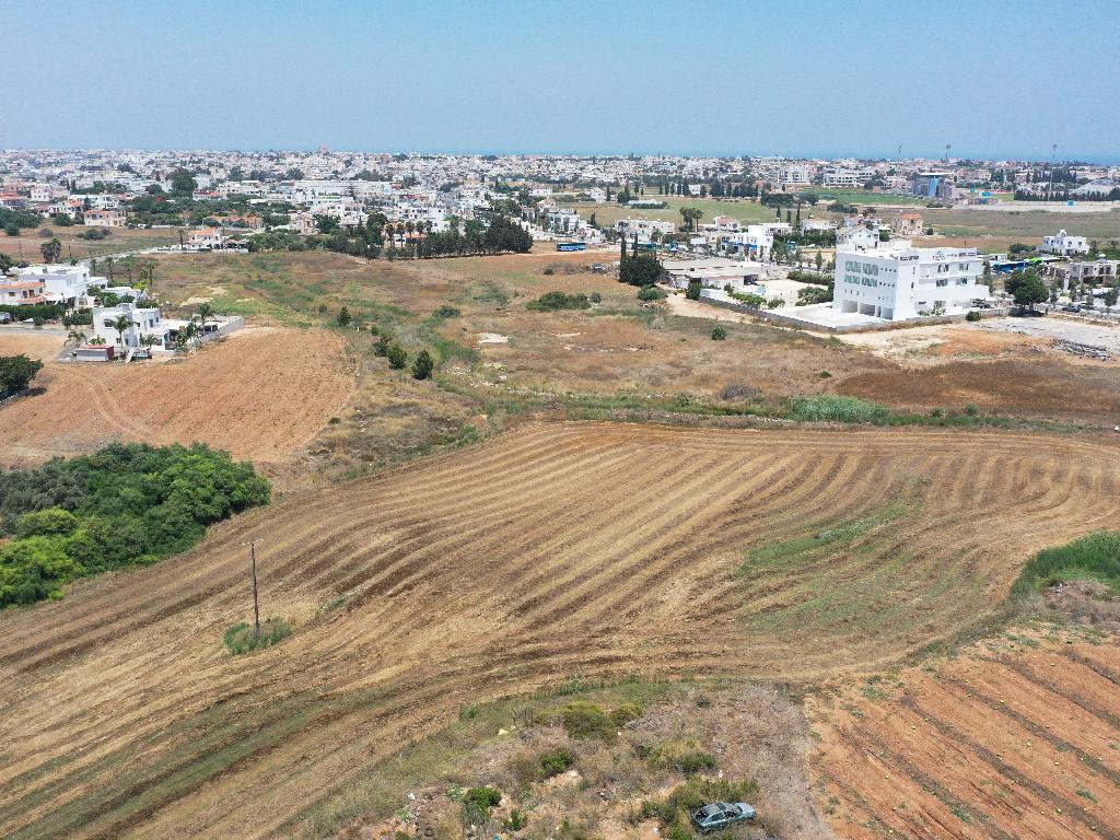 Field-Paralimni-PR12110