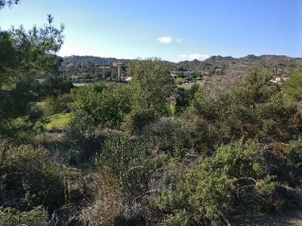 Field-Asgata-PR15307