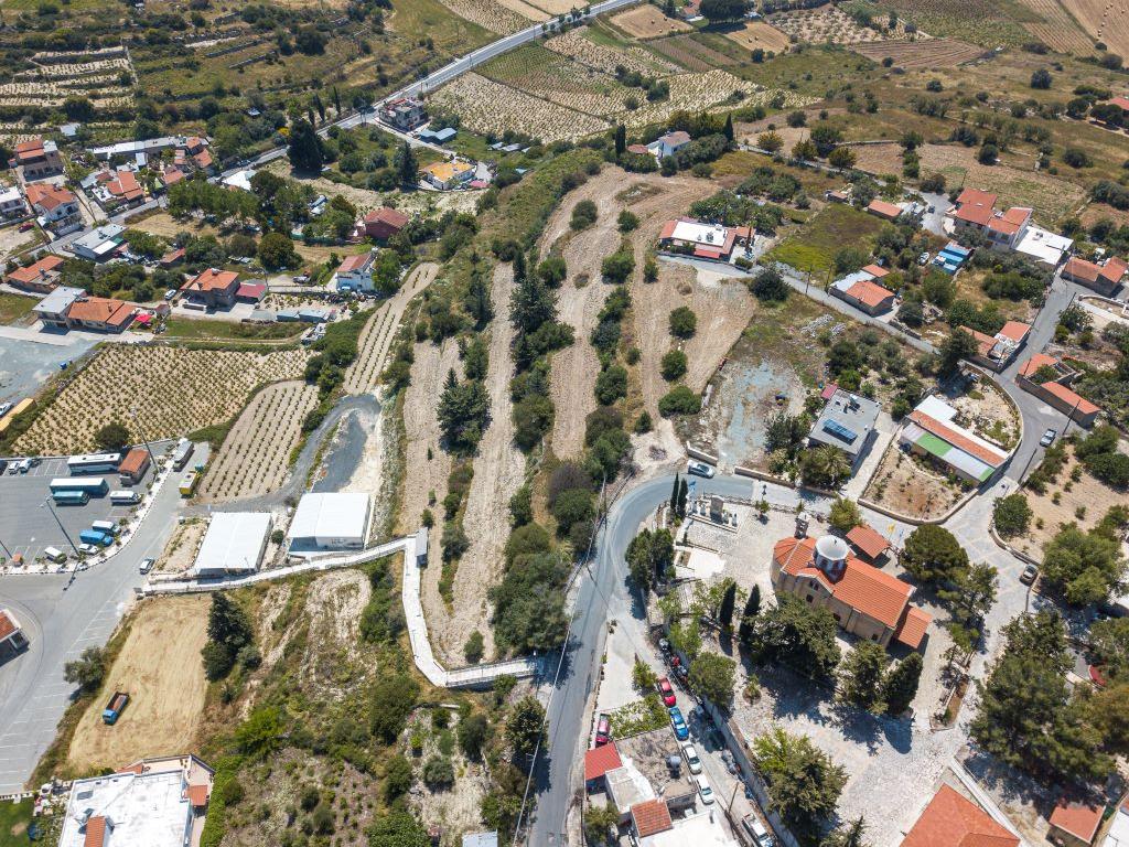 Field- Pachna, Limassol