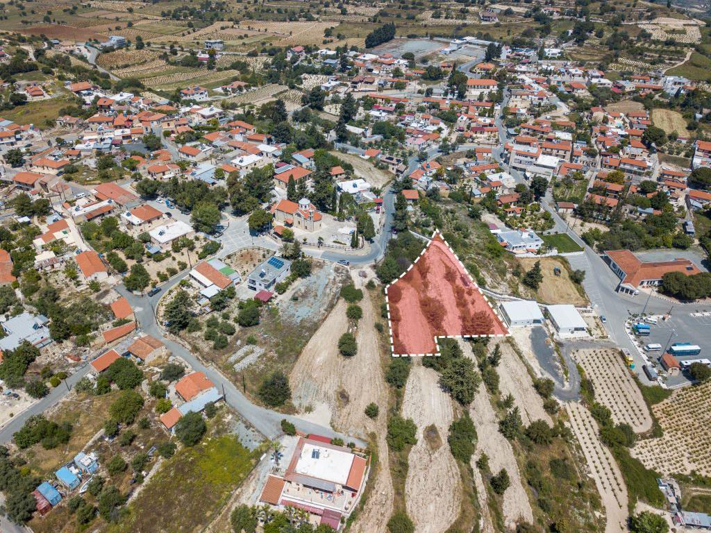 Field- Pachna, Limassol