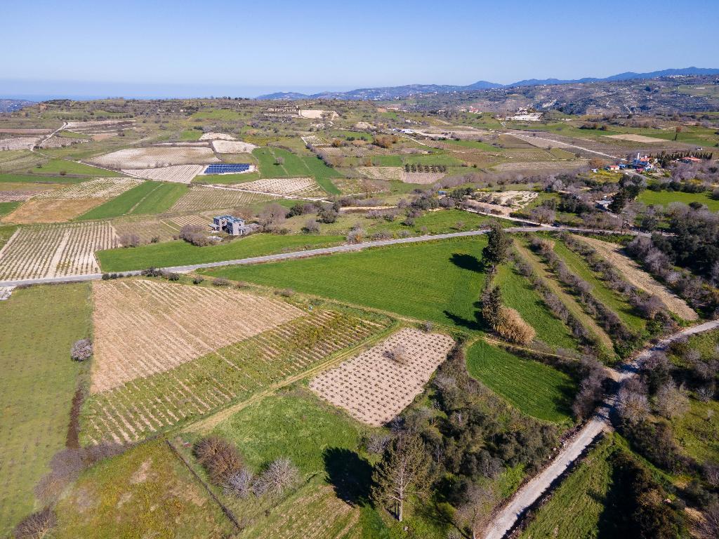 Field - Polemi, Paphos