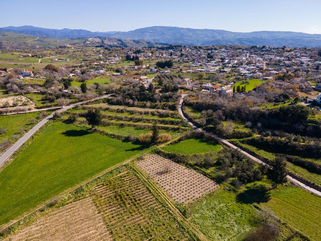 Field - Polemi, Paphos