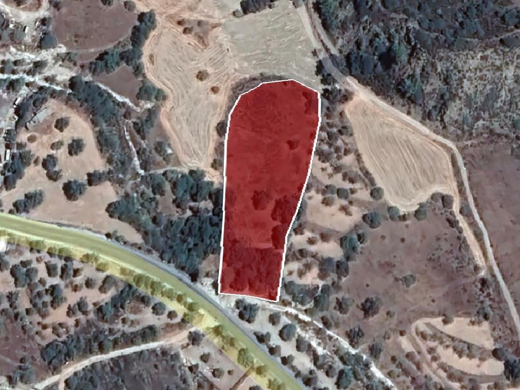 Field-Peristerona-PR34649