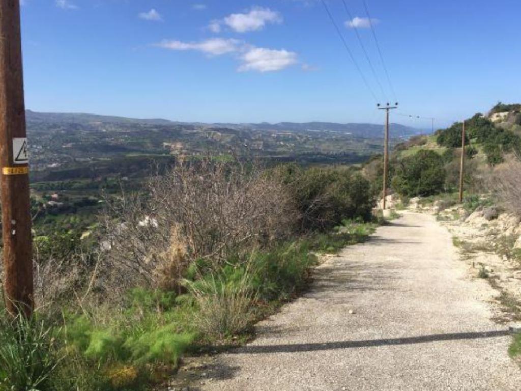 Field-Peristerona-PR34649
