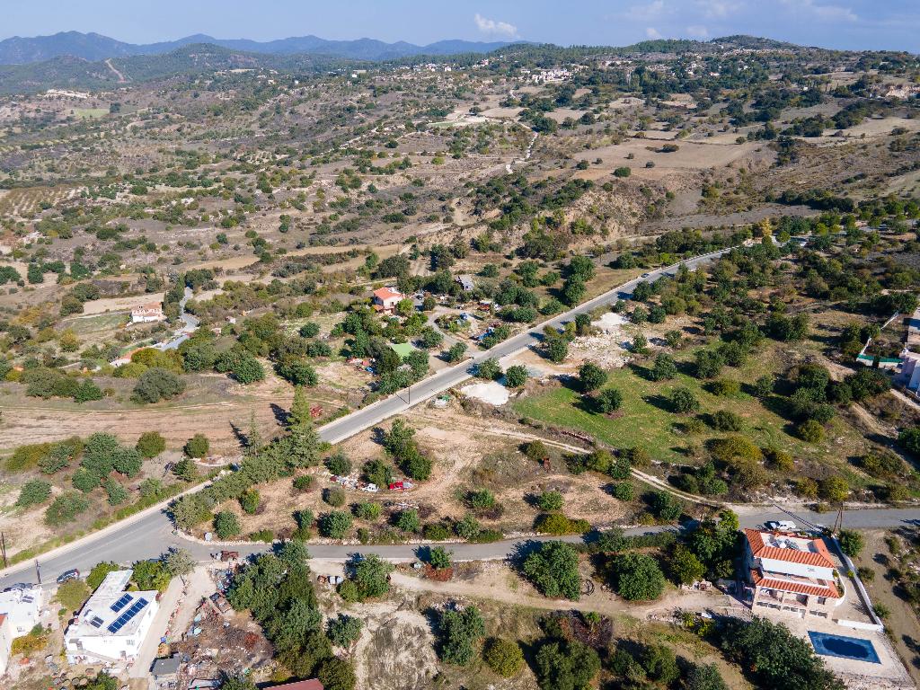 Field-Peristerona-PR34649