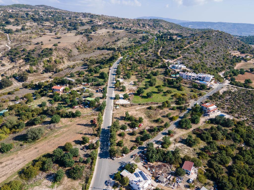 Field-Peristerona-PR34649