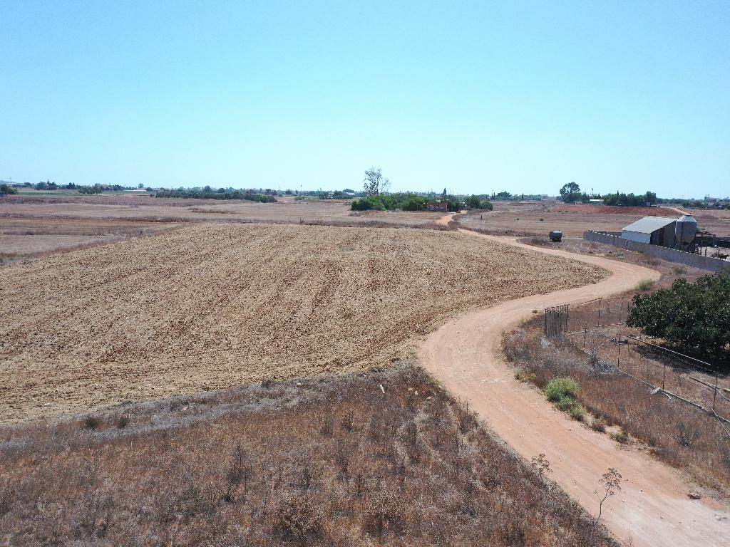 Field-Frenaros-PR36511