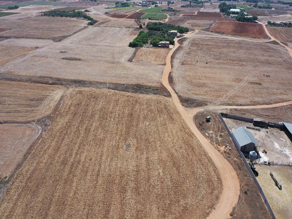 Field-Frenaros-PR36511