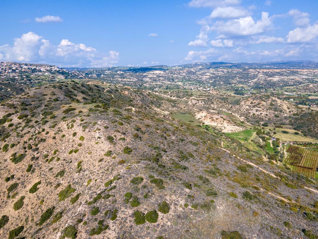 Field-Pissouri-PR37109